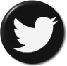 Twitter Pin